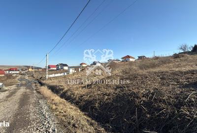 Spațiu comercial, în Dezmir - 7