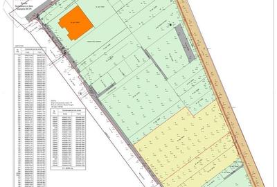 Teren Construcții intravilan de 59000 mp, în Calea București - 4
