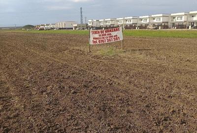 Teren de 300 mp, în Mărăcineni - 1
