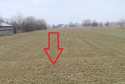 Teren de vanzare 7.123 mp intravilan, Buhusi - 11