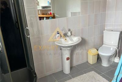 Casă cu 7 camere cu Teren 1100 Mp în Valea Borcutului - 2