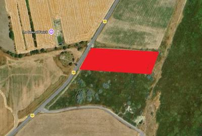 Teren Construcții intravilan de 9900 mp, în Corbu - 2