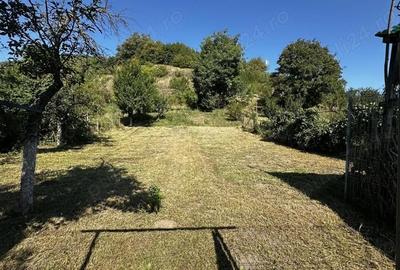 Casă cu 3 camere în Nemșa - 6