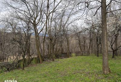 Teren de 1518 mp, în Șotrile - 2