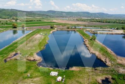 Teren Extravilan cu lac - Investitie in Natura si Agrement | 35.251 mp - 11