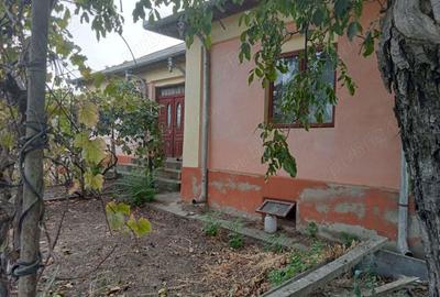 Casă cu 4 camere în Ostroveni - 6