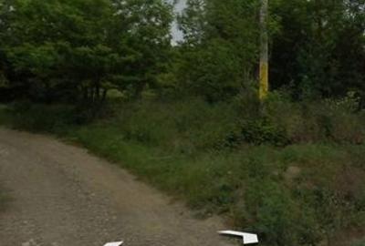 Teren de 3000 mp, în Schitu Duca - 2