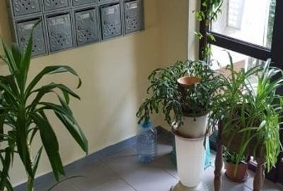 BANEASA – Parc Herastrau  garsoniera mobilata si utilata - 12