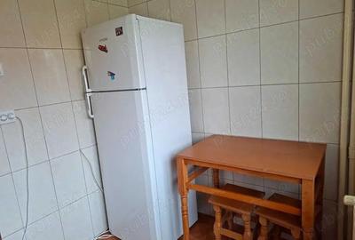 Garsoniera iancului-ritmului-metrou 7 minute - 4