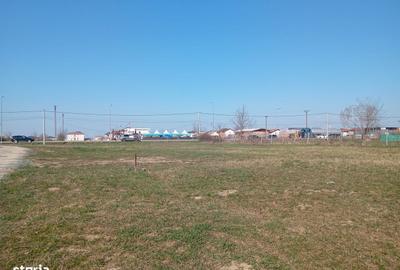 Spațiu comercial, în Moșnița Nouă - 1