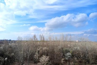 Apartament cu 4 camere decomandat în Sisești - 15