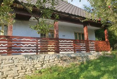 Casa 64 mp util, 2 camere + hol mare refacut, 4.100 mp intravilan - 4