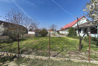 Casă cu 3 camere cu Teren 1500 Mp în Beregsău Mare - 7