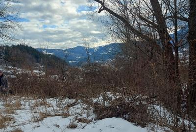 Teren intravilan la drumul na?ional comuna Hangu, Neamt, 5000mp - 1