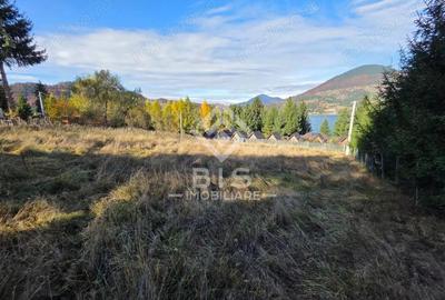 Teren de vanzare 12 ari - COLIBITA - 7