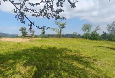 Casă cu 3 camere cu Teren 5000 Mp în Rădăuți - 6