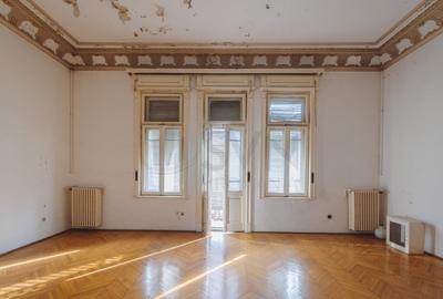 Vila deosebita Lascar Catargiu gradina mare Vila deosebita Lascar Catargiu gradina mare - 8