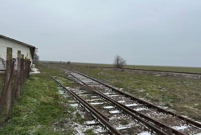 Spațiu industrial, în Ceamurlia de Jos - 15