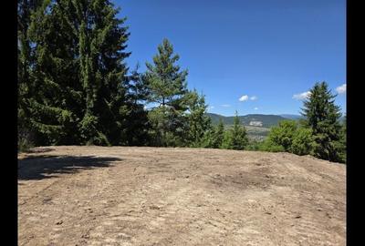 Teren de 1000 mp, în Toplița - 5