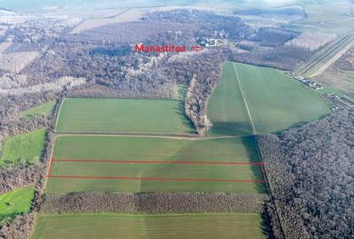 Teren de 16900 mp, în Grădiștea - 3