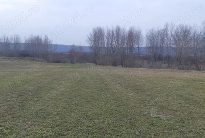 Teren în Stolnici - 3