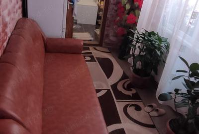 Casa Mehala de vanzare - 9