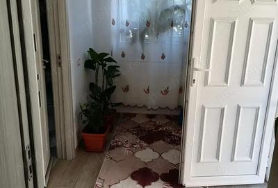 Casă cu 2 camere în Cobadin - 8