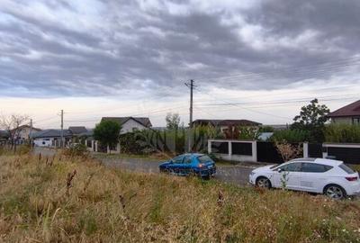 TEREN PAULESTI//10.000 MP - 7