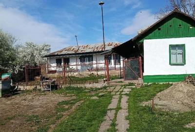 Casă cu Teren 600 Mp în Independența - 8