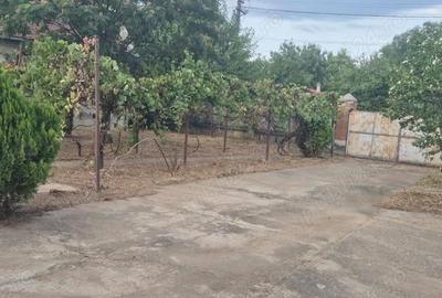 Casă cu 3 camere în Sculia - 6