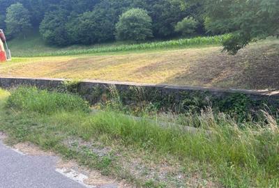 Spațiu comercial, în Leșnic - 4