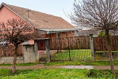 Casă cu 3 camere cu Teren 2509 Mp în Mișca - 13