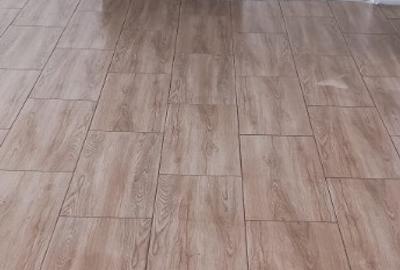 Chelinta, casa caramida, 1,2 ha teren - 2