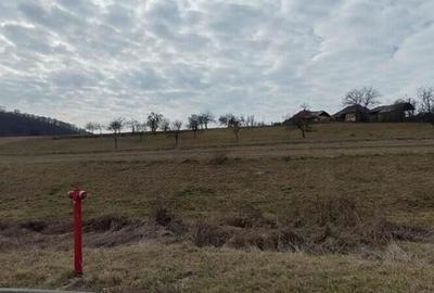 Teren intravilan de vanzare Fa?ca, comuna Varciorog, jude?ul Bihor - 4