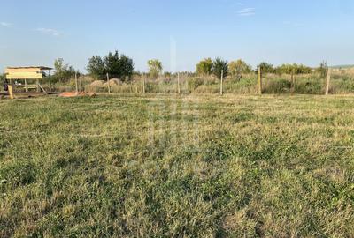 Teren Construcții intravilan de 400 mp, în Șura Mică - 13