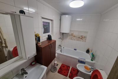 Delfinariu -casa de caramida - 8