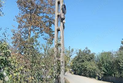 Casă în Vulturu - 3
