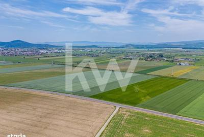 Teren de 43500 mp, în Hărman - 5