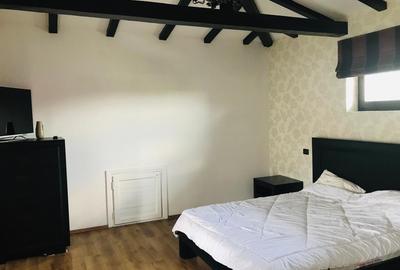 Vila exclusivista 2008,arhitect spaniola,5 dormitoare,5 bai,teren 1420mp,garaj 2 - 14