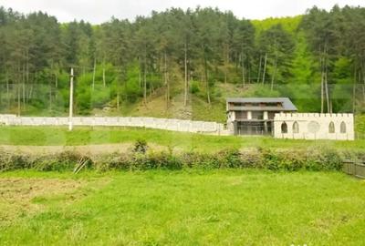 Casă cu 7 camere cu Teren 5000 Mp în Surduc - 4