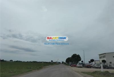 Teren Moara Vlasiei 65000 mp Industrial utilitati apropiere Nod A3 - 2