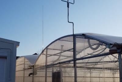 De vanzare sera legume spatiu de depozitare si utilaje agricole - 1