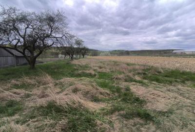 Teren de 48000 mp, în Ilișești - 2
