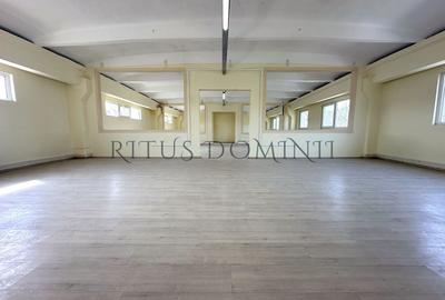 Spațiu industrial, de 298 mp, în Vest - 3