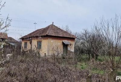 Teren de 1150 mp, în Goicea - 5