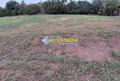 Teren intravilan de vanzare 2000 mp in Sard - 1