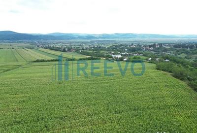 Teren de 3600 mp, în Racova - 4