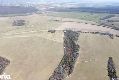 Teren de 268200 mp, în Ardud - 3