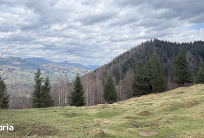 Teren de 10270 mp, în Sadova - 7