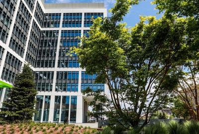 Birouri de inchiriat in Bucharest Business Garden - cladirea B - 9